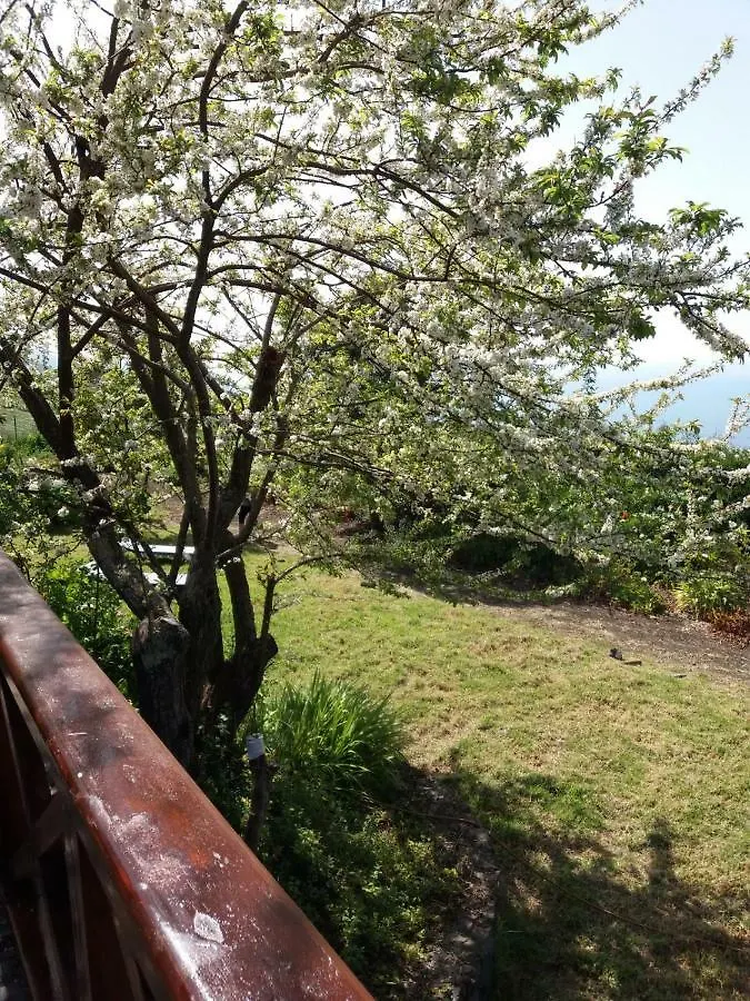 Holiday home Casas Los Abuelos De Calderon Icod el Alto